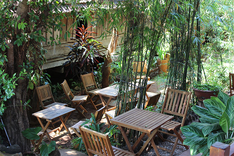 Immersion dans un café à l’ambiance zen à Buôn Ma Thuột, la capitale (autoproclamée !) du café vietnamien.