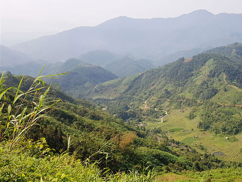 Les régions du thé au Vietnam