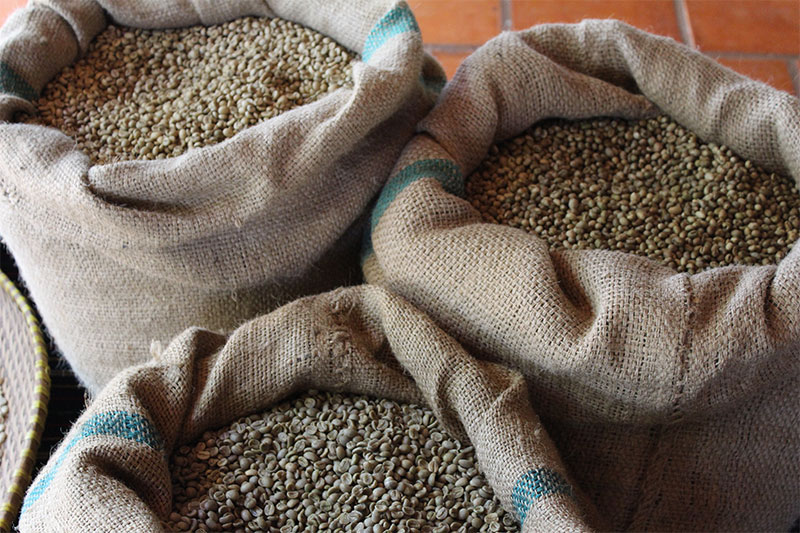 A la découverte du café vietnamien : sacs de grains de café vietnamien de type robusta